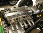 DSCN3136