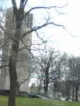 DSCN1839 (Medium)