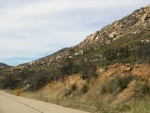 DSCN0520