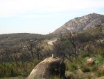 DSCN0522