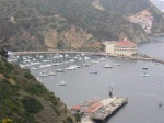 Highlight for Album: Catalina Island May 06