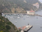 Highlight for Album: Catalina Island May 06