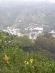DSCN4115 (Medium).JPG