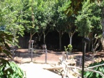 Highlight for Album: San Diego Zoo, 07/06