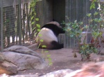 DSCN4450 (Medium).JPG