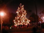 Highlight for Album: Balboa Park Xmas 01