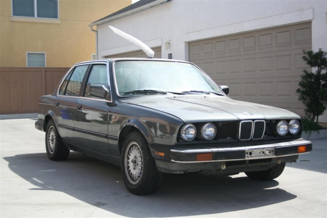 IMG_1756 (Large).JPG