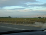 DSCN4792.JPG