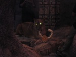DSCN4535.JPG